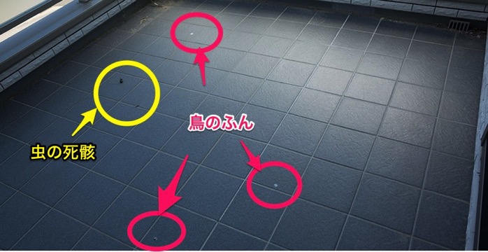 balcony-torifun-mushi.jpg Balcony torifun mushi